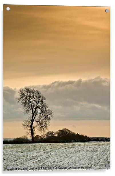 Winter Tree Acrylic by David Lewins (LRPS)