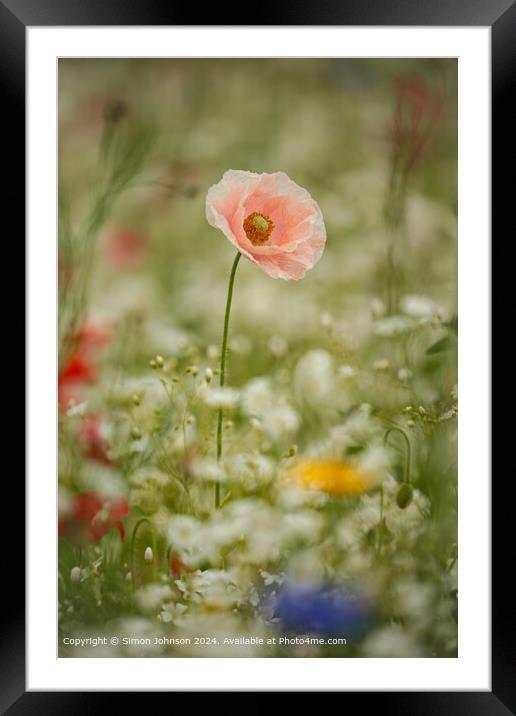 Meadow Flowers Cotswolds Nature Framed Mounted Print by Simon Johnson