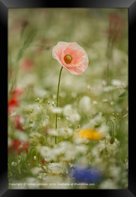 Meadow Flowers Cotswolds Nature Framed Print by Simon Johnson