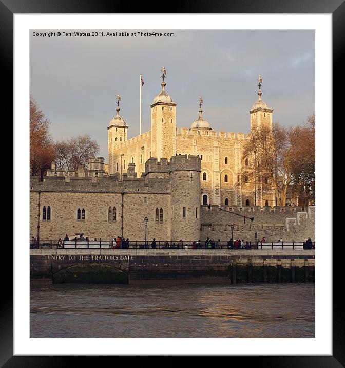 Iconic Tower of London Framed Mounted Print by Terri Waters