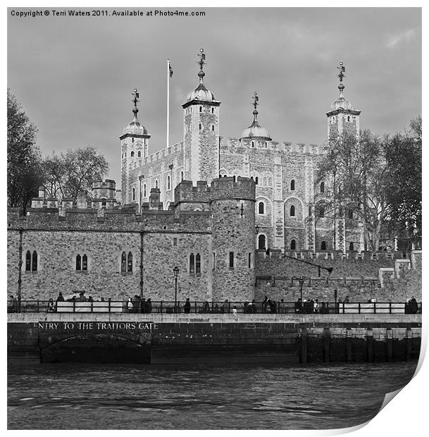 The Tower of London England Print by Terri Waters
