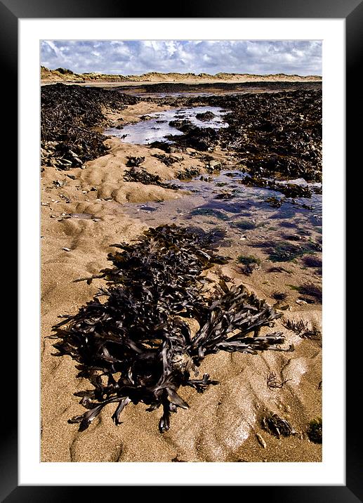 Rock Pool Framed Mounted Print by Dave Wilkinson North Devon Ph