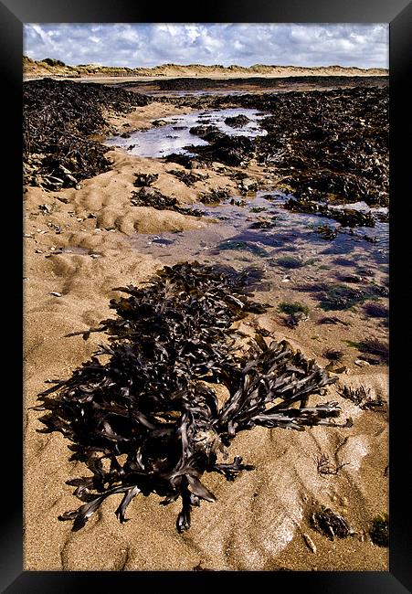 Rock Pool Framed Print by Dave Wilkinson North Devon Ph