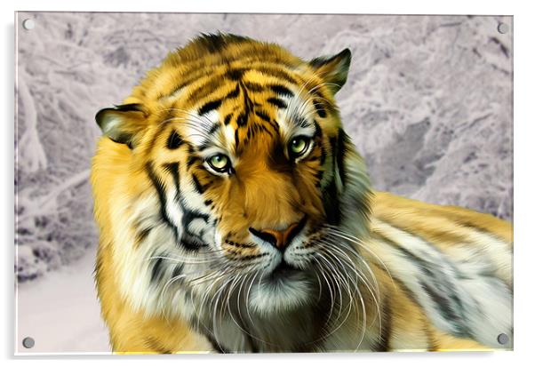Sumatran Tiger in Snow Acrylic by Julie Hoddinott