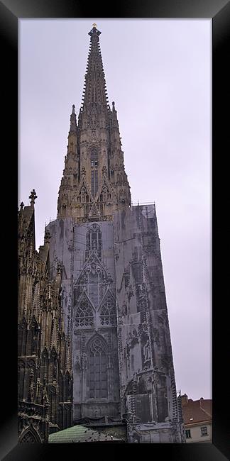 ST.STEPHAN'S CATHEDERAL Framed Print by radoslav rundic