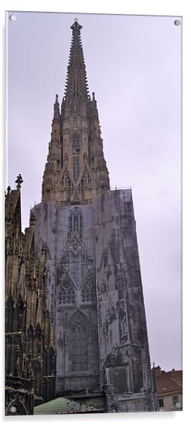 ST.STEPHAN'S CATHEDERAL Acrylic by radoslav rundic