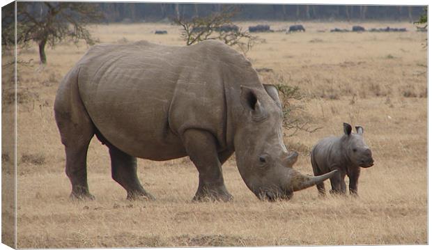 White Rhino with Young Canvas Print by Bekie Spark