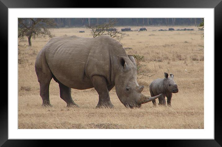 White Rhino with Young Framed Mounted Print by Bekie Spark