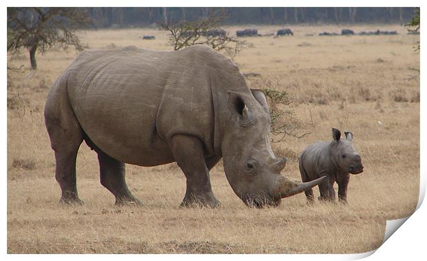 White Rhino with Young Print by Bekie Spark