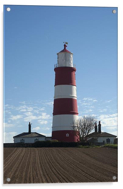 Happisburgh Lighthouse Acrylic by Damien VC