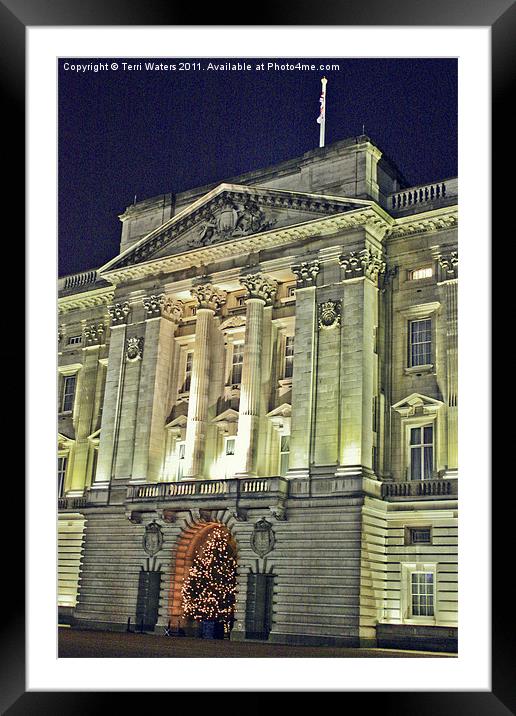 Buckingham Palace at Christmas Framed Mounted Print by Terri Waters