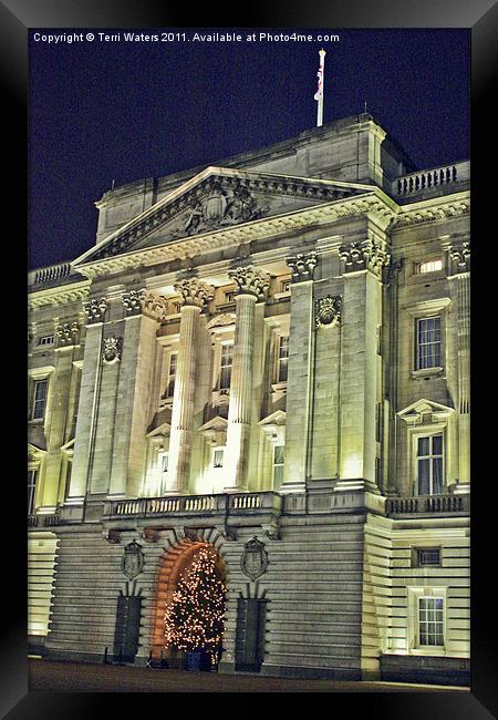 Buckingham Palace at Christmas Framed Print by Terri Waters
