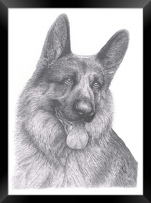 German Shepherd Framed Print by Gordon and Gillian McFarland