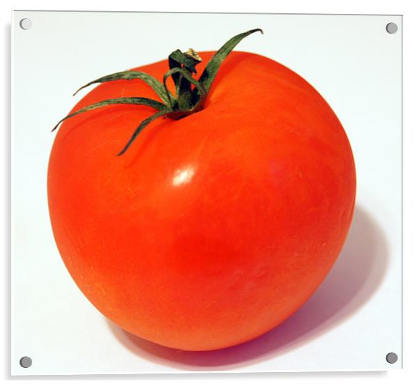 tomato Acrylic by Elouera Photography