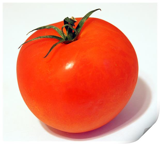 tomato Print by Elouera Photography