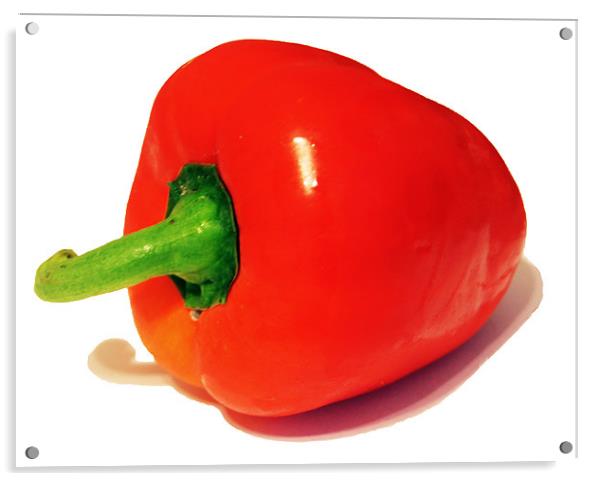 red pepper Acrylic by Elouera Photography