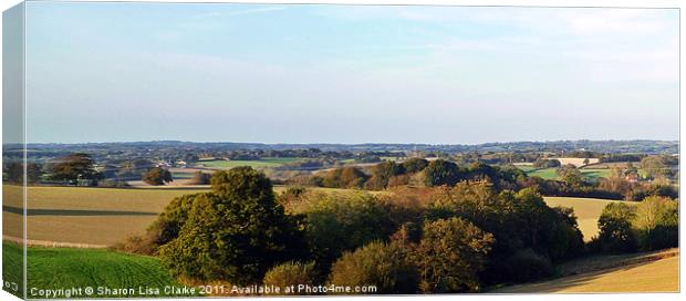 Sussex Canvas Print by Sharon Lisa Clarke