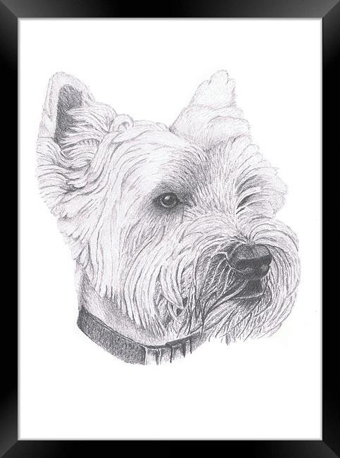 West Highland Terrier Framed Print by Gordon and Gillian McFarland