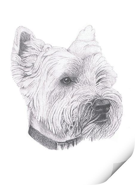 West Highland Terrier Print by Gordon and Gillian McFarland