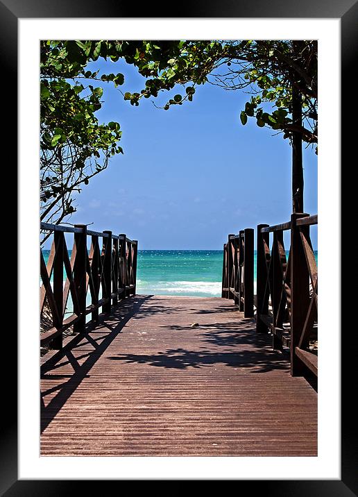 Pathway to Paradise Framed Mounted Print by Roger Green