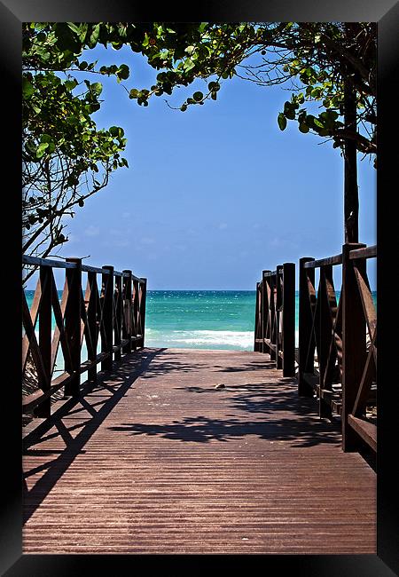 Pathway to Paradise Framed Print by Roger Green