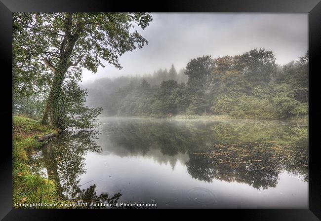 Autumn Mist Framed Print by David Tinsley