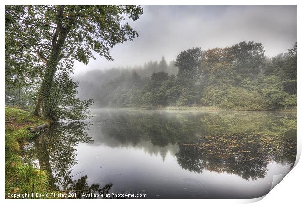 Autumn Mist Print by David Tinsley