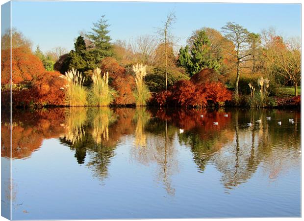 Wakehurst In Autumn Canvas Print by Jane Chivers