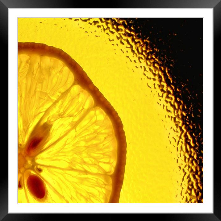 Lemon Fizz!! Framed Mounted Print by Chris Manfield