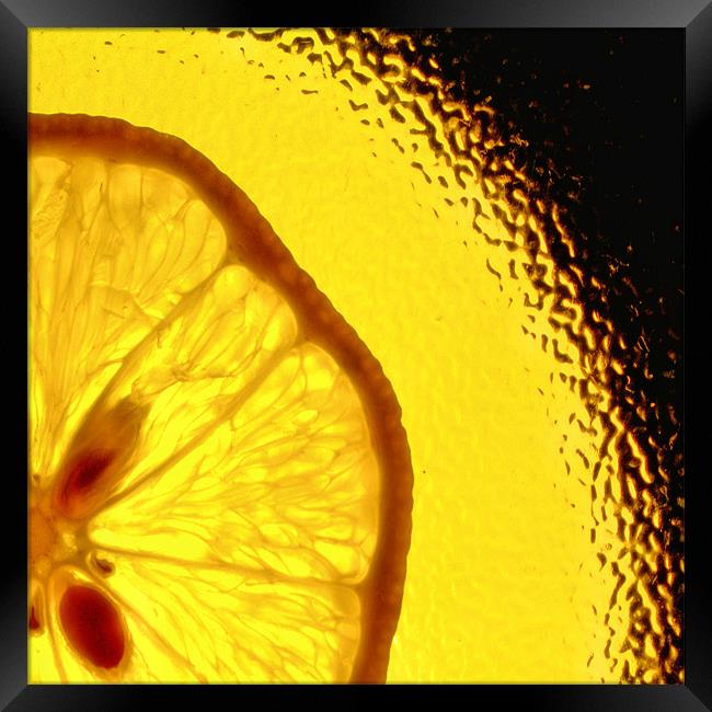 Lemon Fizz!! Framed Print by Chris Manfield