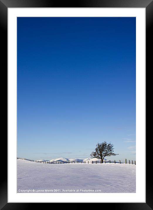 Lone Tree And Blue Sky Framed Mounted Print by Lynne Morris (Lswpp)