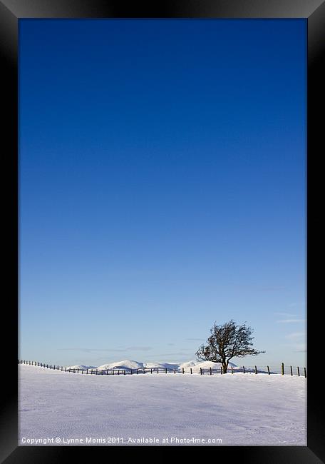 Lone Tree And Blue Sky Framed Print by Lynne Morris (Lswpp)