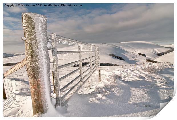 Frozen Gate Print by Ian Collins