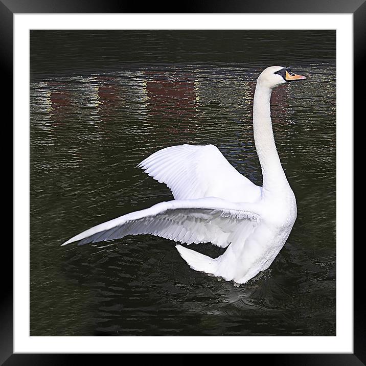 Walking On Water Framed Mounted Print by Christine Jeffrey