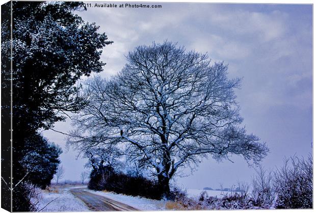 A Country Road in Winter Canvas Print by Trevor Kersley RIP
