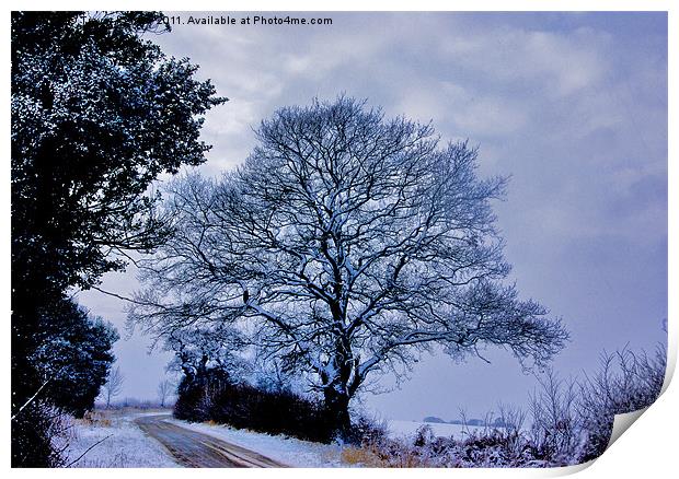 A Country Road in Winter Print by Trevor Kersley RIP