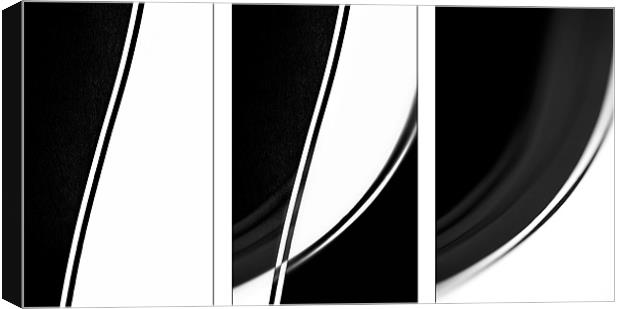 Black and White Abstract Canvas Print by Natalie Kinnear