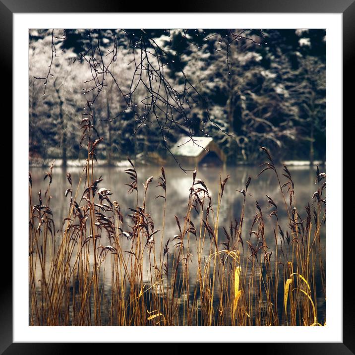 Loch Ard, winter starts.. Framed Mounted Print by David Mould