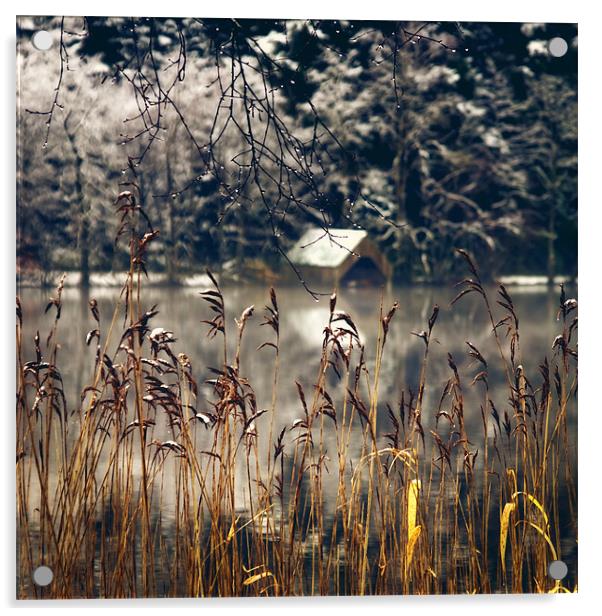 Loch Ard, winter starts.. Acrylic by David Mould