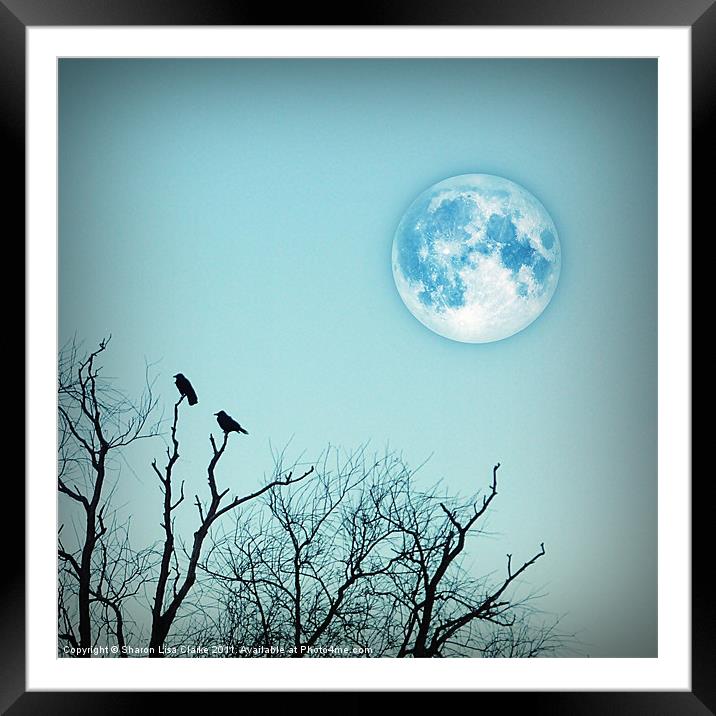 Blue moon Framed Mounted Print by Sharon Lisa Clarke