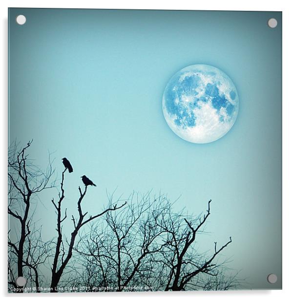 Blue moon Acrylic by Sharon Lisa Clarke