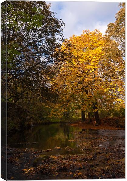 Autumn in Uppermill Canvas Print by Jeni Harney