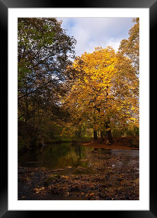 Autumn in Uppermill Framed Mounted Print by Jeni Harney
