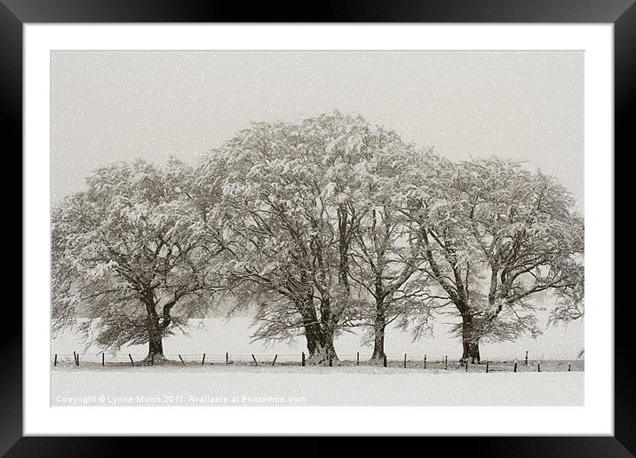 Winter Trees Framed Mounted Print by Lynne Morris (Lswpp)