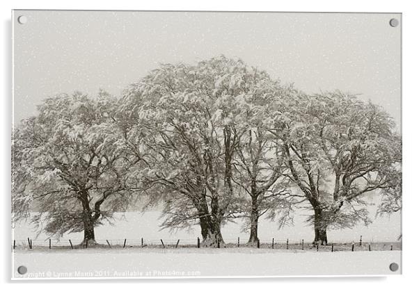 Winter Trees Acrylic by Lynne Morris (Lswpp)