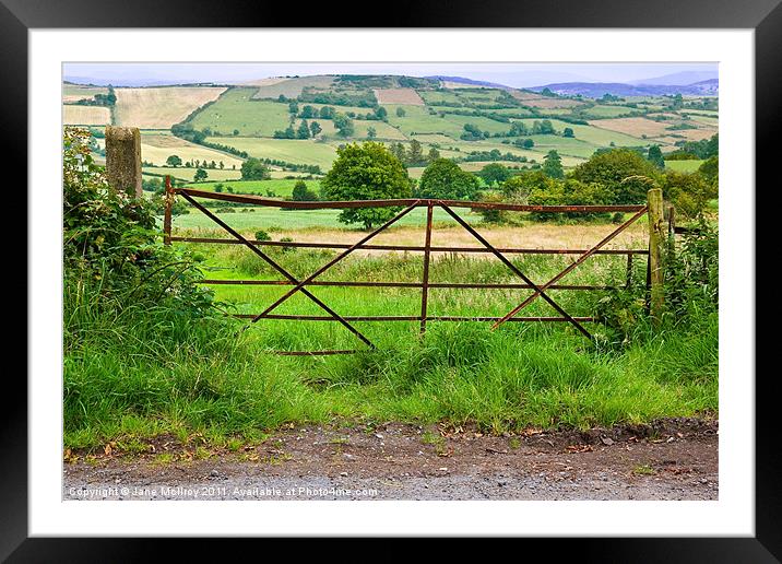 South Armagh Countryside, Northern Ireland Framed Mounted Print by Jane McIlroy