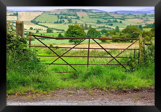 South Armagh Countryside, Northern Ireland Framed Print by Jane McIlroy