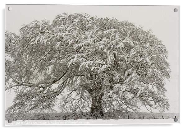 A Snow Oak Acrylic by Lynne Morris (Lswpp)