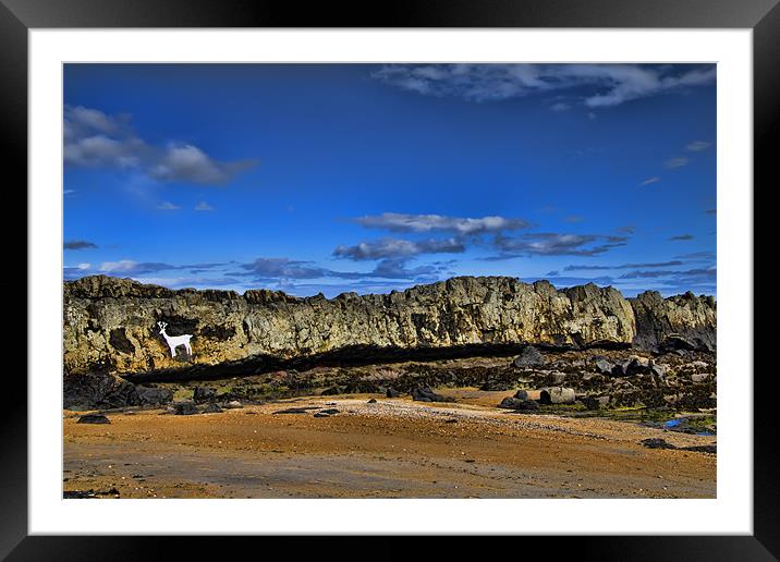 stag rock Framed Mounted Print by Northeast Images