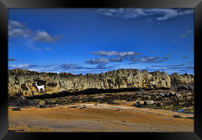 stag rock Framed Print by Northeast Images